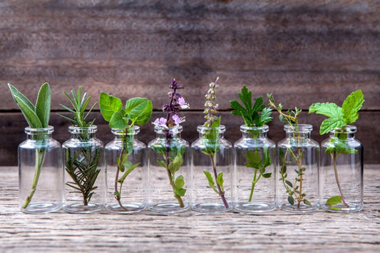 Un introducción a los aceites esenciales - AHAL Bio Cosmética