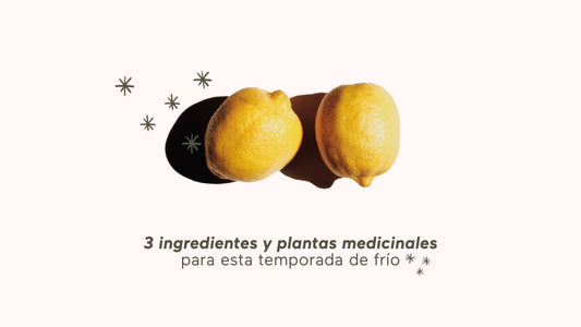 3 PLANTAS MEDICINALES PARA ESTA TEMPORADA DE FRÍO - AHAL Bio Cosmética