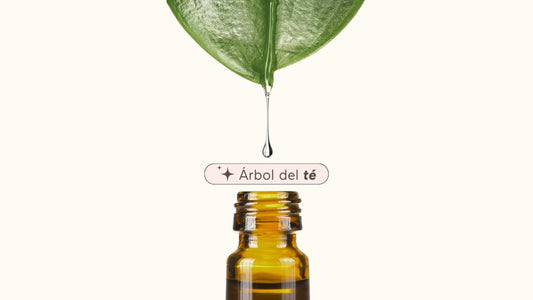 ÁRBOL DEL TÉ: ¿PARA QUÉ SIRVE Y POR QUÉ ES BUENO PARA LA PIEL? - AHAL Bio Cosmética