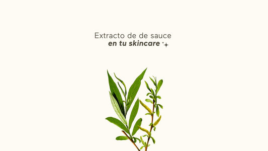 EXTRACTO DE SAUCE: ¿PARA QUÉ SIRVE Y CUÁLES SON SUS BENEFICIOS PARA TU PIEL? - AHAL Bio Cosmética