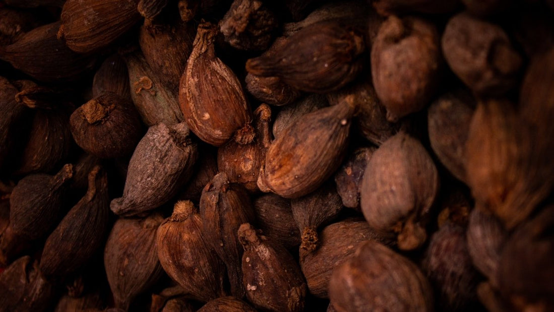 ¿QUÉ ES Y PARA QUÉ SIRVE LA MANTECA DE CACAO? INGREDIENTE EN LA COSMÉTICA NATURAL - AHAL Bio Cosmética
