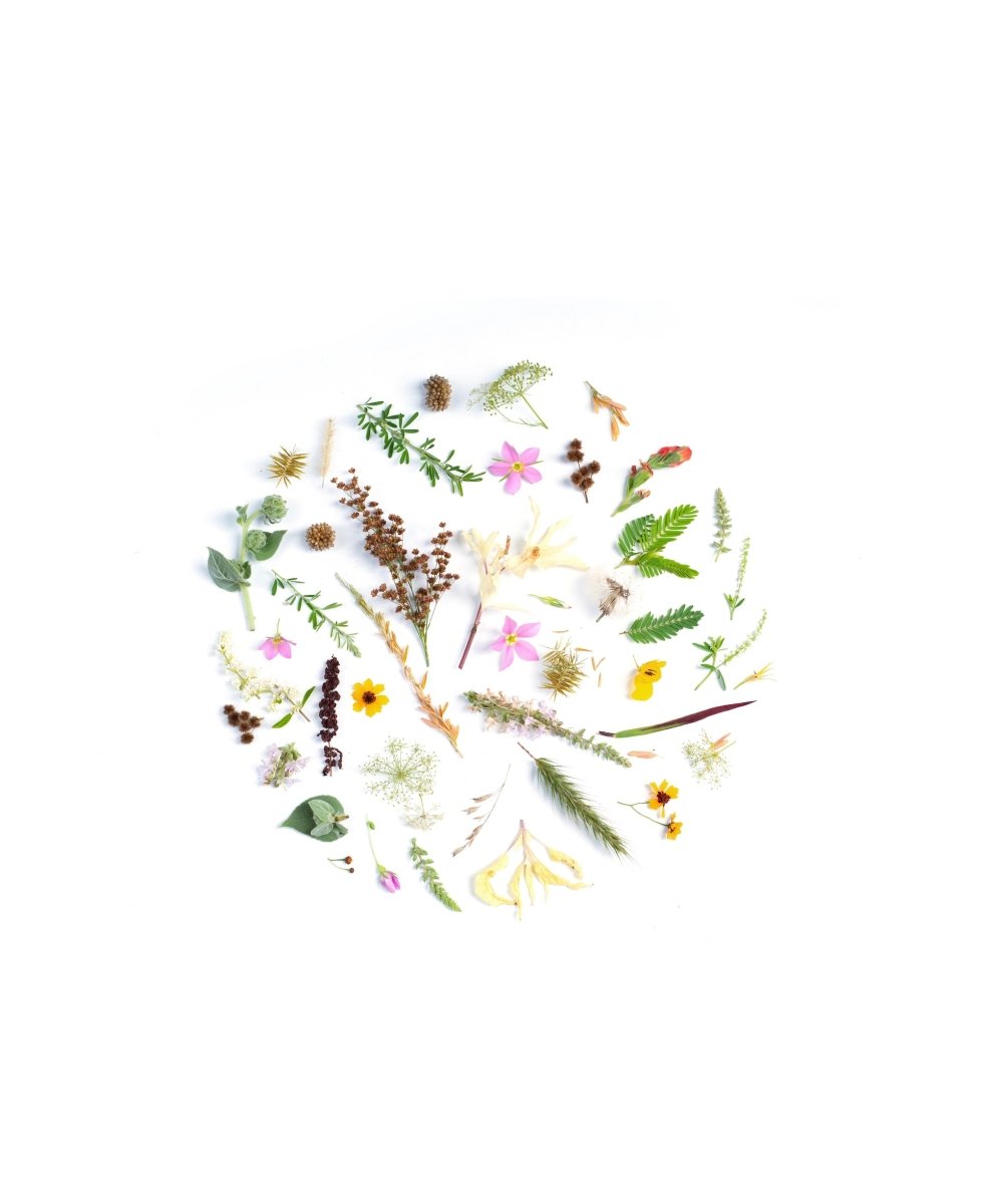 BALANCEA TUS HORMONAS DE MANERA NATURAL: ¿QUÉ ES SEED CYCLING O EL CICLO DE LAS SEMILLAS? - AHAL Bio Cosmética