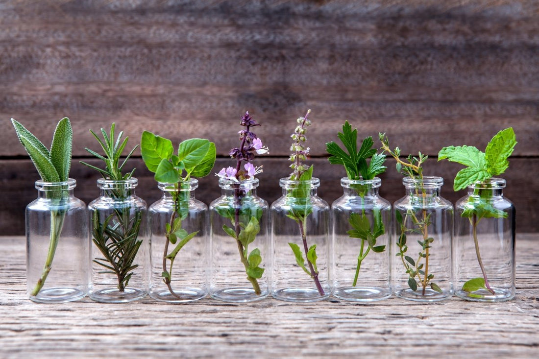 Un introducción a los aceites esenciales - AHAL Bio Cosmética